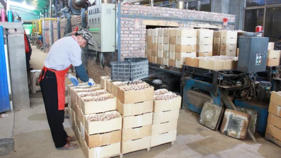 Boule en céramique inerte d'alumine de Nanxiang Teneur en alumine 23% Boule en céramique inerte